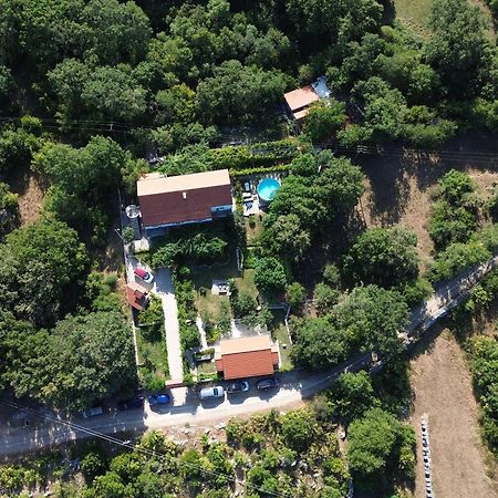 Apartments Minex Τρέμπινιε Εξωτερικό φωτογραφία