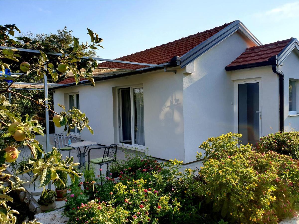 Apartments Minex Τρέμπινιε Εξωτερικό φωτογραφία